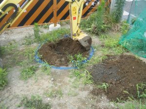 炭素埋設をして来ました。