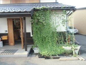 猛暑ですね。熱中症対策のお願い