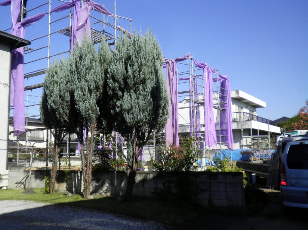 現場パトロールに行ってきました。