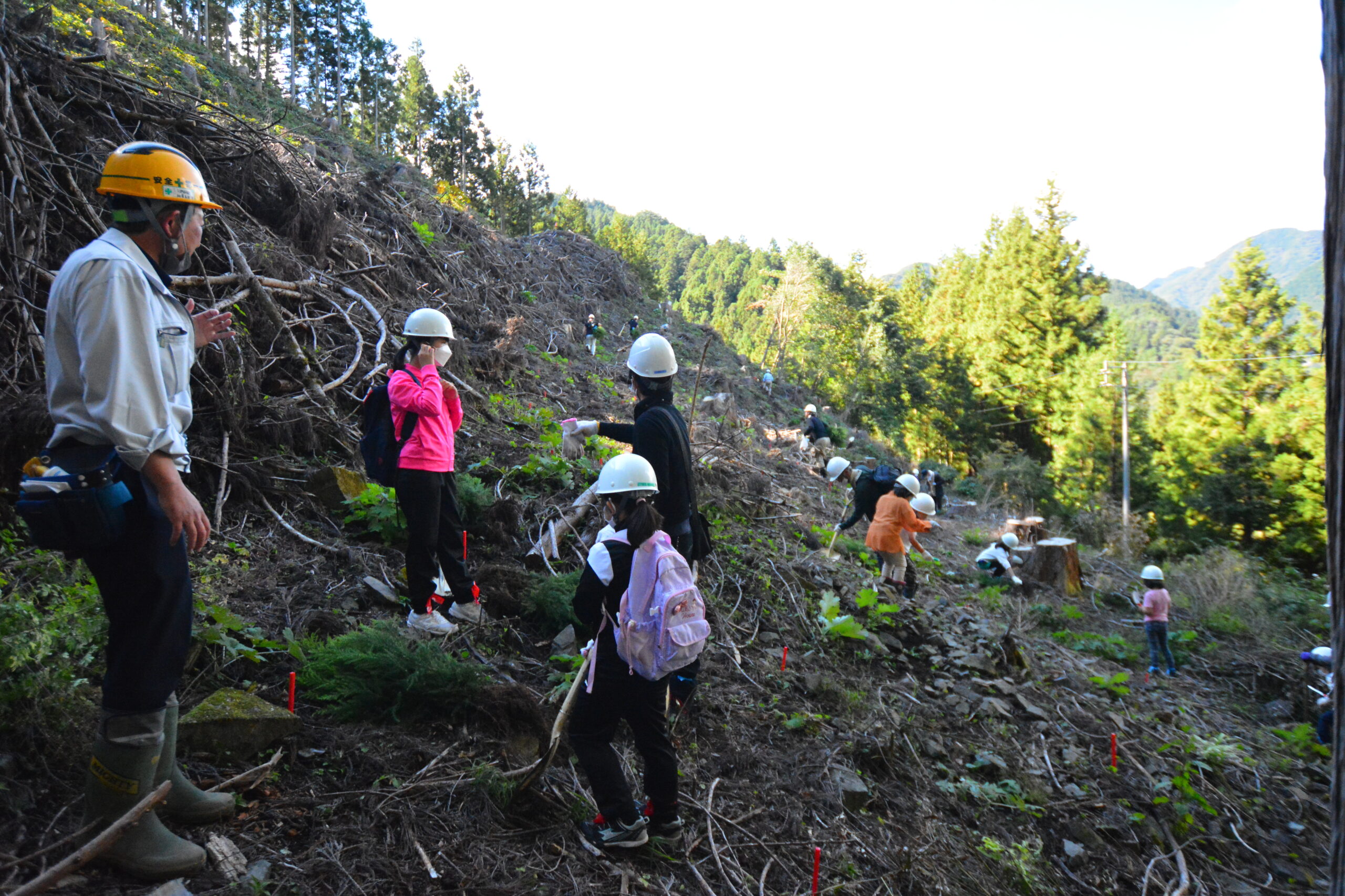 今年の森林ツアー