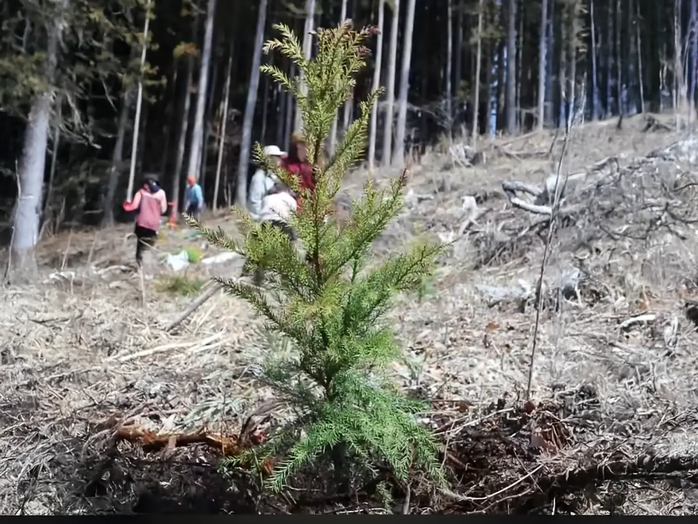 上州「恵の会」植林ツアー